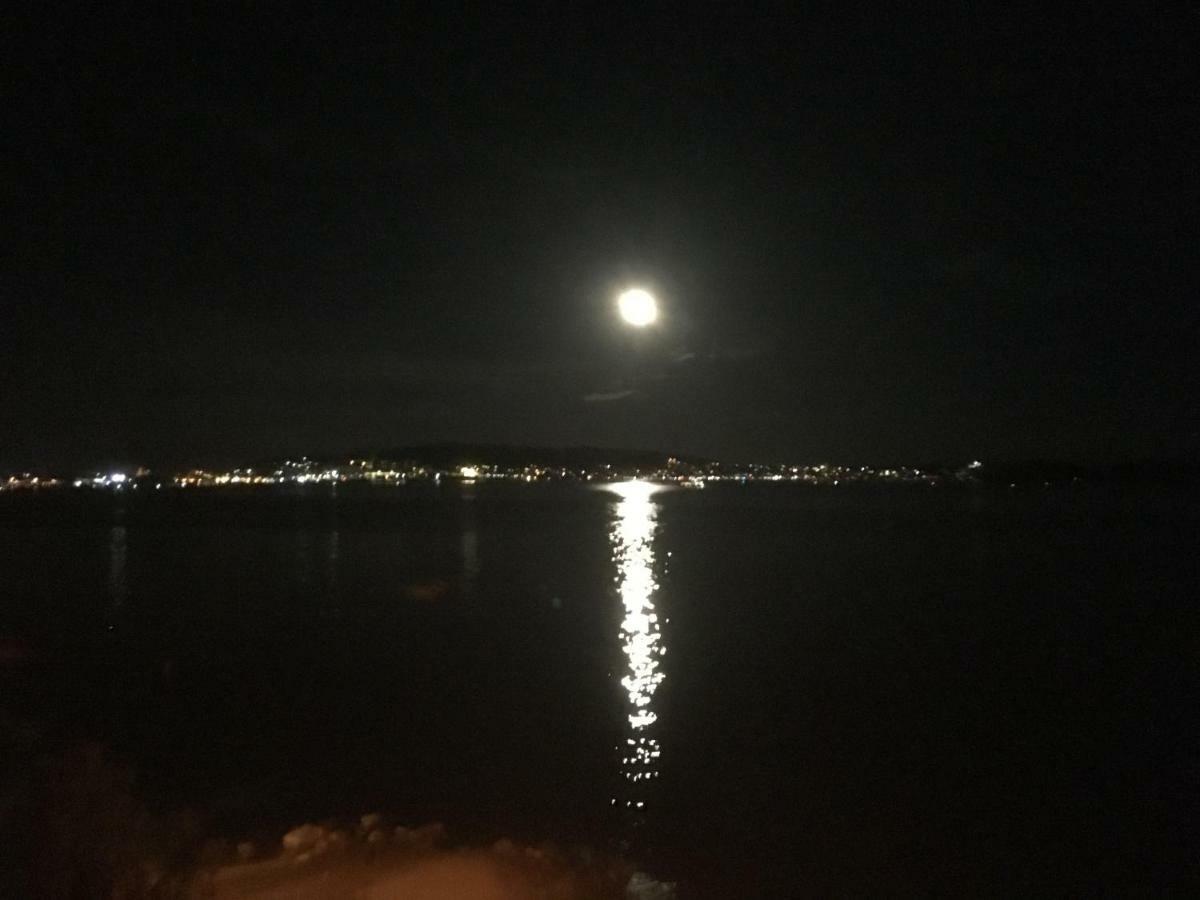 Marko * Trogir